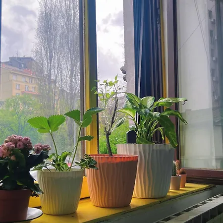 Eleven Hostel